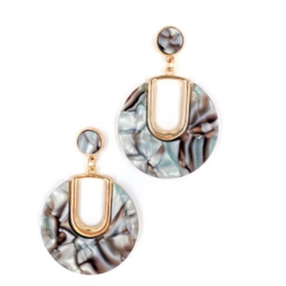 Resin Tortoise Loop Drop Earrings
